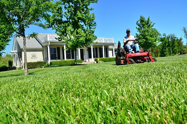 lawn-care-640x480-9763450.jpeg