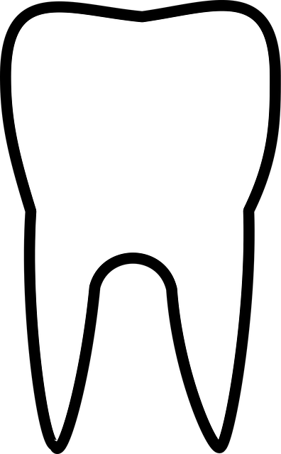 oral rehabilitation