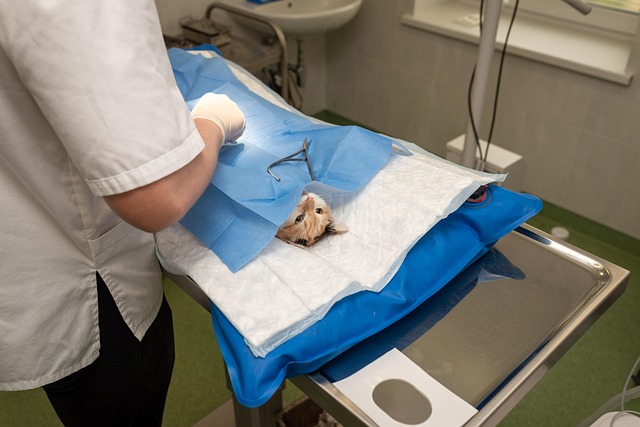 oral surgery