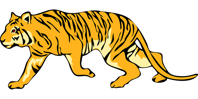orange-felines-640x480-32261891.png