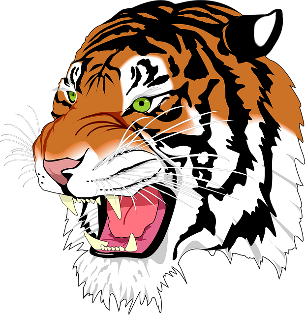 orange-felines-640x480-73486500.png