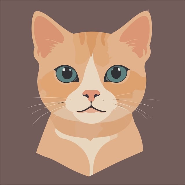 Orange Kittens