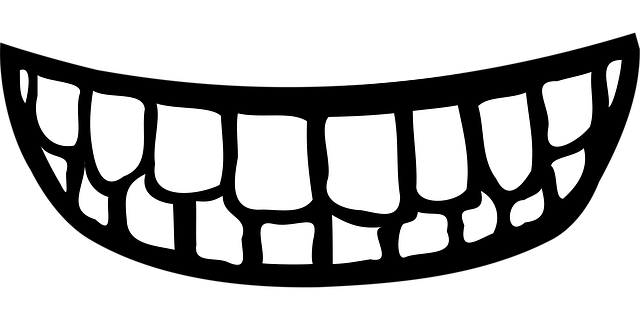orthodontics dentistry