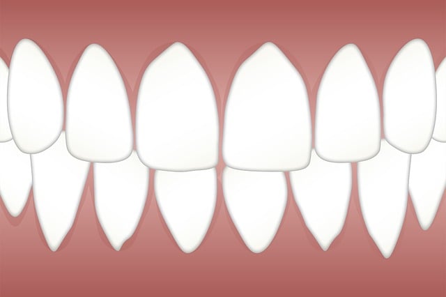 periodontics dentistry