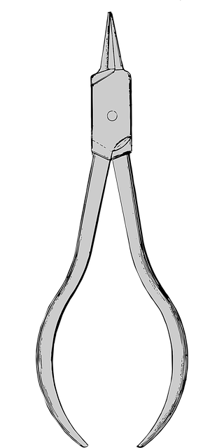 periodontics dentistry