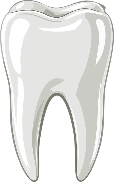 periodontics dentistry