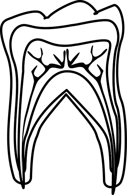 periodontics-dentistry-640x480-79552370.png