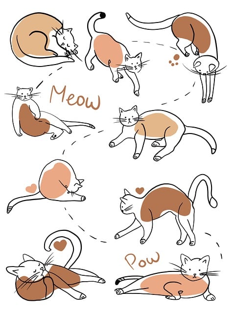 Playful Marmalade Cats