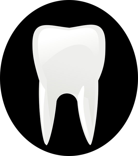 prosthodontics dentistry