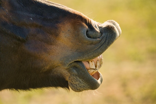 teeth whitening
