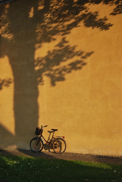 bicycle injury