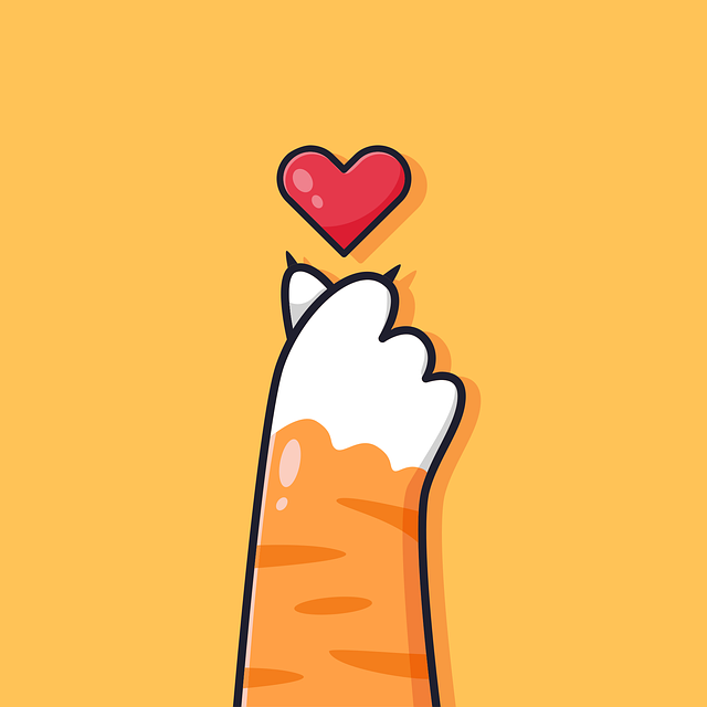 Cute Orange Cats