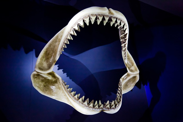 Master Jaw Pain Management: Common Causes to Prevention Strategies