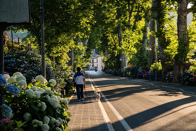 pedestrian injuries