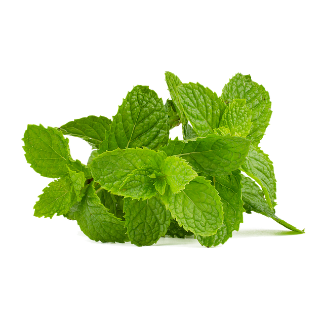 Peppermint Tea Benefits