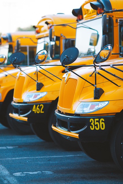 plumbing services