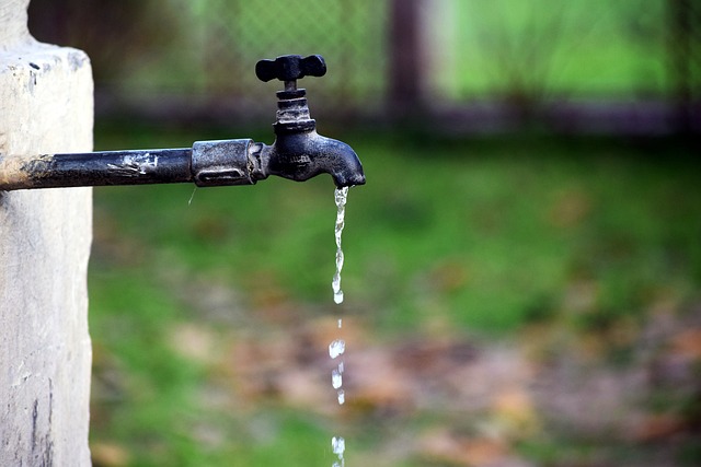 plumbing services