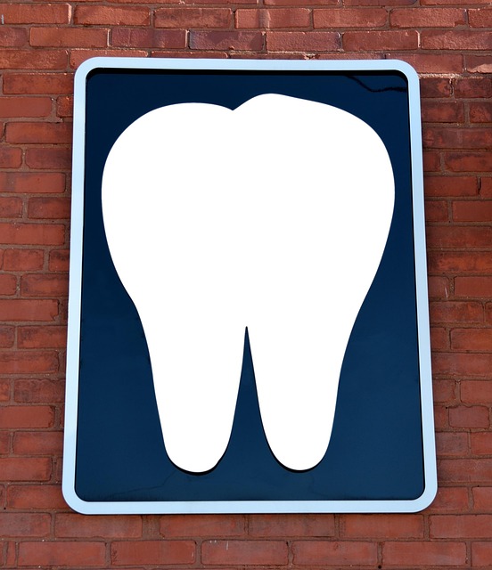 prosthodontics dentistry