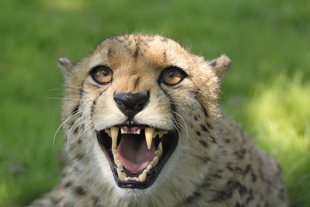 Master Teeth Grinding Solutions: Lifestyle, Techniques, and Therapy