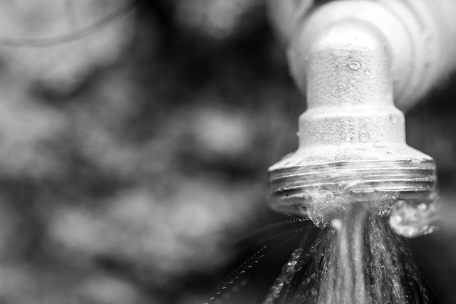 plumbing services